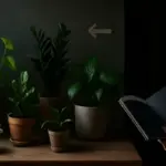 Quali sono le migliori piante da appartamento per ambienti poco luminosi? Soluzioni che resistono anche all’ombra totale